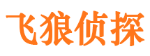 治多侦探公司